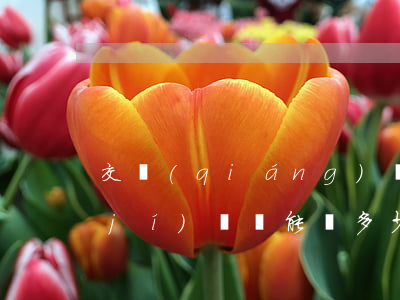 交強(qiáng)險(xiǎn)十級(jí)傷殘能賠多少錢(qián)(交強(qiáng)險(xiǎn)十級(jí)傷殘能賠多少錢(qián)南京)