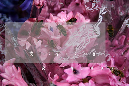 交強(qiáng)險(xiǎn)賠償范圍(交強(qiáng)險(xiǎn)賠償范圍和金額最新標(biāo)準(zhǔn))