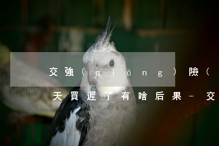 交強(qiáng)險(xiǎn)逾期兩天買遲了有啥后果-交強(qiáng)險(xiǎn)逾期兩天買遲了有啥后果嗎