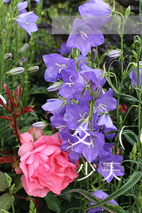 交強(qiáng)險(xiǎn)逾期多少天辦理-交強(qiáng)險(xiǎn)逾期發(fā)生事故怎么辦