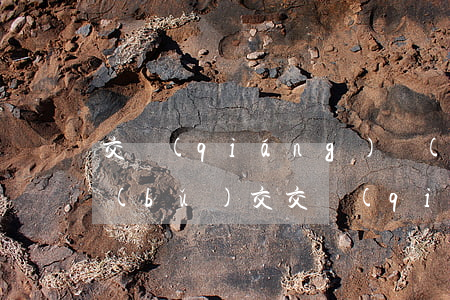 交強(qiáng)險(xiǎn)逾期補(bǔ)交 交強(qiáng)險(xiǎn)逾期補(bǔ)交多久生效