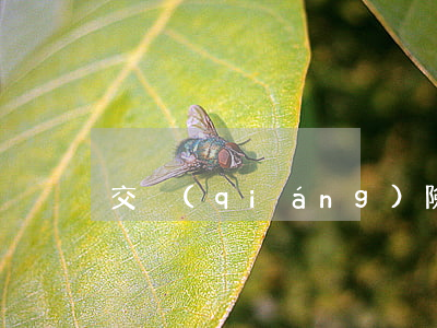 交強(qiáng)險怎么報