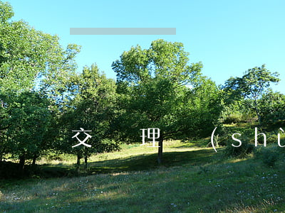 交強險理賠數(shù)額有限制嗎