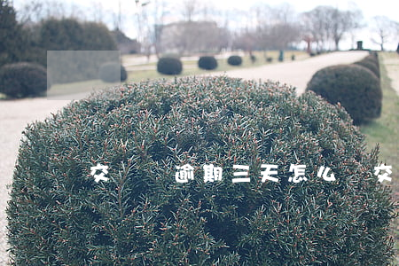 交強險逾期三天怎么辦(交強險逾期兩天)
