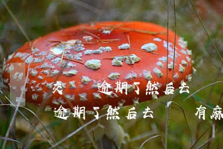 交強險逾期了然后去購買有麻煩嗎-交強險逾期了然后去購買有麻煩嗎怎么辦