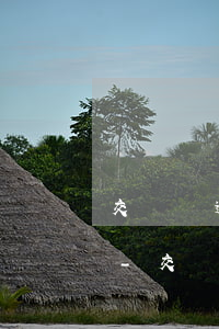 交強險逾期沒續(xù)保出交通事故責任-交強險沒續(xù)保發(fā)生事故怎么辦
