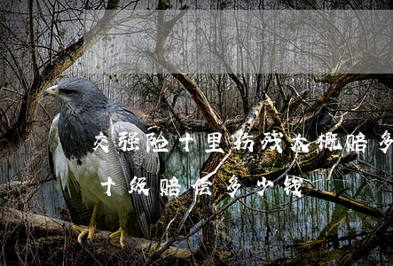 交强险十里伤残大概赔多少钱(交通伤残鉴定十级赔偿多少钱)