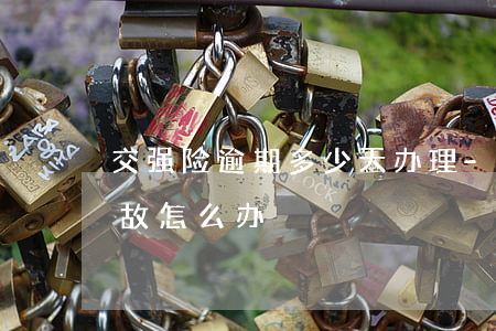 交强险逾期多少天办理-交强险逾期发生事故怎么办
