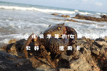 交往快半年的女朋友欠信用卡3萬-女朋友欠好幾萬信用卡