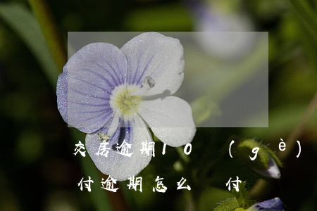 交房逾期10個(gè)月如何賠償(房子交付逾期怎么賠付)