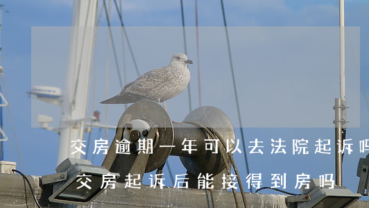 交房逾期一年可以去法院起诉吗(开发商逾期交房,起诉后,能接得到房吗)
