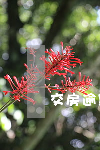 交房逾期不服一審判決二審起訴書 逾期交房訴訟書