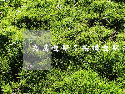 交房逾期了（按揭逾期交房）