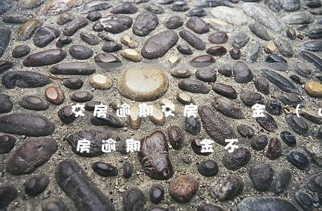 交房逾期交房違約金萬(wàn)分之一(交房逾期違約金不給)
