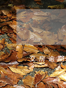 交房逾期合同不合理 房子乙方逾期交房