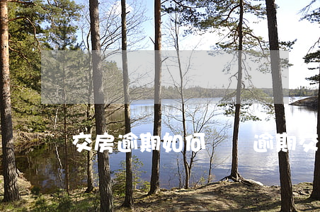 交房逾期如何訴訟(逾期交房起訴)