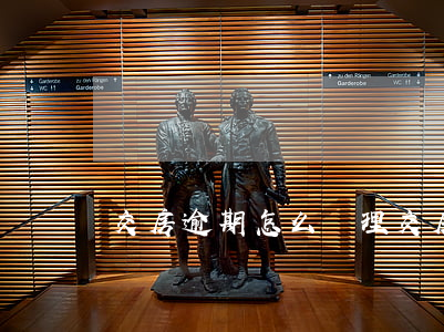 交房逾期怎么處理（交房逾期怎么處理）