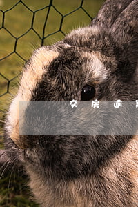 交房逾期怎么起訴(逾期交房法院會怎么判)