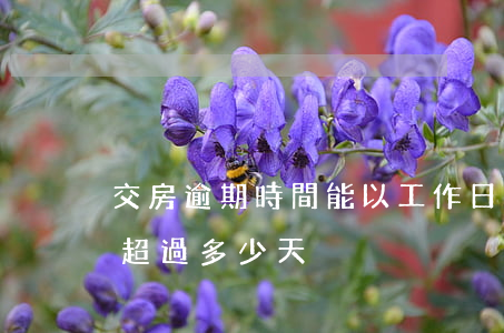 交房逾期時間能以工作日算嗎 逾期交房不能超過多少天