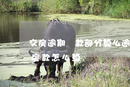 交房逾期貸款部分算么(逾期交房違約金已付房款怎么算)