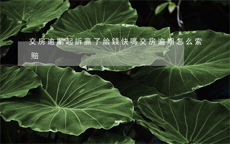 交房逾期起訴贏了給錢快嗎 交房逾期怎么索賠