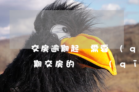 交房逾期起訴需要請(qǐng)律師么 逾期交房的訴訟請(qǐng)求