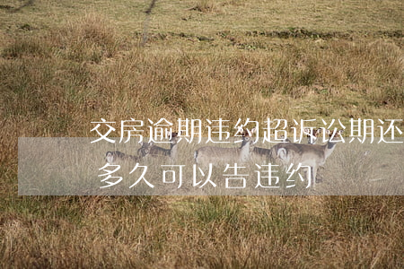 交房逾期违约超诉讼期还能起诉吗(逾期交房多久可以告违约)
