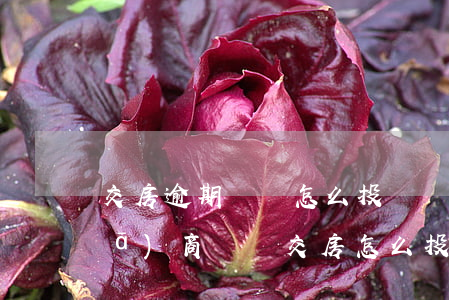 交房逾期違約怎么投訴 開(kāi)發(fā)商違約交房怎么投訴