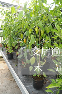 交房逾期違約起訴為什么不按合同判-合同未約定逾期交房違約責(zé)任