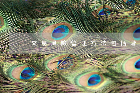 交易風險管理方法包括哪些
