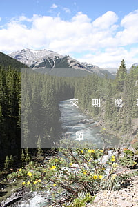 交期逾期整改計(jì)劃 逾期整改的罰款單