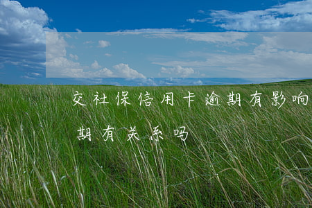 交社保信用卡逾期有影响吗(社保跟信用卡逾期有关系吗)