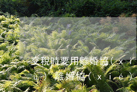 交稅時要用離婚協(xié)議嗎(根據(jù)離婚協(xié)議過戶需要交稅嗎)