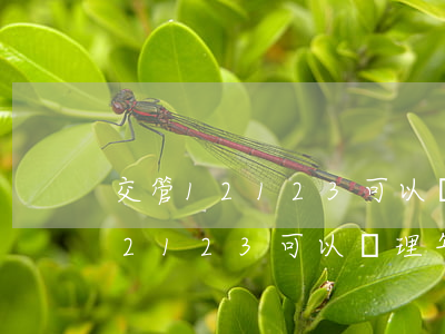 交管12123可以處理年檢逾期-交管12123可以處理年檢逾期嗎