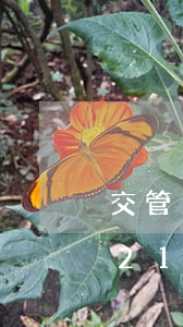 交管12123怎么辦理駕照逾期-交管12123怎么辦理駕照逾期業(yè)務(wù)
