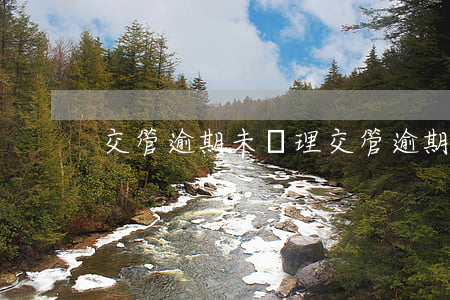 交管逾期未處理（交管逾期未處理）
