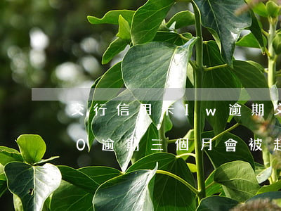 交行信用卡1w逾期(交通銀行信用卡2000逾期三個月會被起訴嗎)