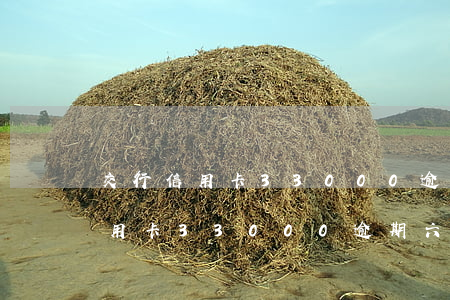 交行信用卡33000逾期六個月-交行信用卡33000逾期六個月會怎樣