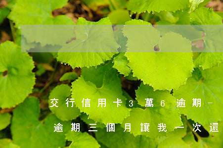 交行信用卡3萬6逾期-欠交行信用卡3萬逾期三個月讓我一次還清要不就起訴我