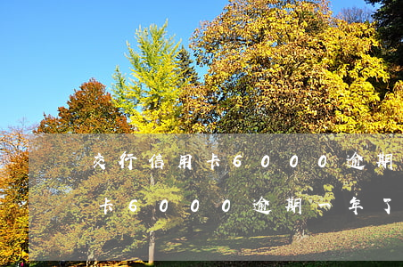 交行信用卡6000逾期一年了-交行信用卡6000逾期一年了会怎么样