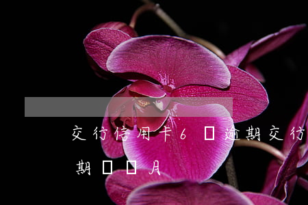 交行信用卡6萬逾期(交行信用卡5000逾期兩個月)