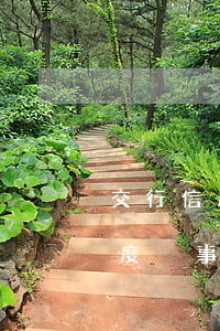 交行信用卡一次透支額度(交行信用卡超出額度沒事吧)