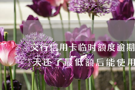 交行信用卡临时额度逾期(交行信用卡逾期十天还了最低额后能使用吗)
