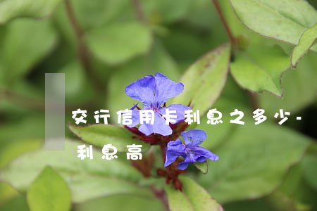 交行信用卡利息之多少-交通銀行的信用卡利息高嗎