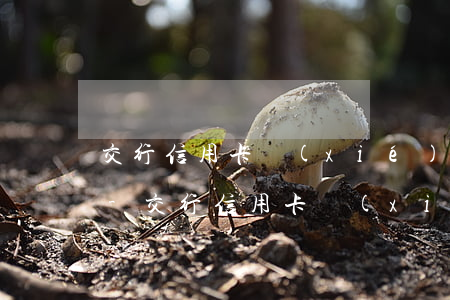 交行信用卡協(xié)商還款政策是什么-交行信用卡協(xié)商還款政策是什么意思