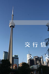 交行信用卡協(xié)商還款的號碼是多少-交行信用卡協(xié)商還款的號碼是多少號