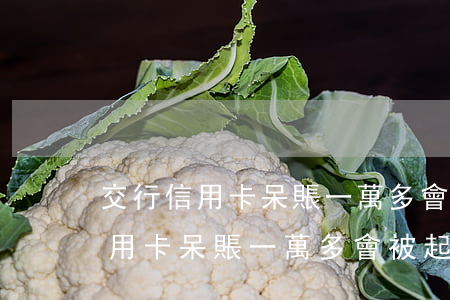 交行信用卡呆賬一萬多會被起訴嗎-交行信用卡呆賬一萬多會被起訴嗎知乎