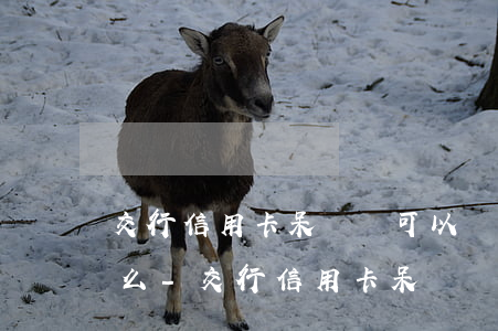 交行信用卡呆賬還可以協(xié)商還款么-交行信用卡呆賬還可以協(xié)商還款么嗎