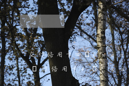 交行信用卡四萬(wàn)逾期8天了(交通銀行信用卡4萬(wàn)逾期三年)