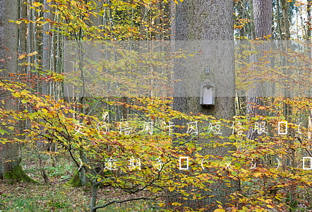 交行信用卡因短信服務(wù)費(fèi)逾期(手續(xù)費(fèi)問題造成信用卡逾期)
